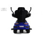 Детский толокар Z005ZZ-MP синий (RiverToys)