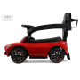 Детский толокар Z005ZZ-BP красный (RiverToys)
