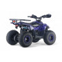 Детский квадроцикл LEON 49CC синий спайдер, скорость 20 км/ч, бензиновый
