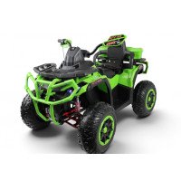 Детский электроквадроцикл Z111ZZ зеленый (RiverToys)