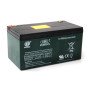 Аккумулятор 24V/9Ah (RiverToys)
