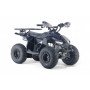 Бензиновый квадроцикл LEON 49CC карбон