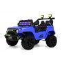 Детский электромобиль М101БХ синий (RiverToys)