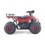 Электроквадроцикл LEON 48V красный спайдер