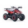 Квадроцикл LEON 49CC красный спайдер, бензиновый, детский