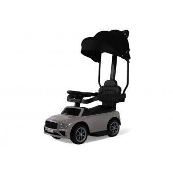 Пушкар Bentley Z005ZZ-T серый