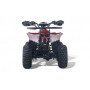 Электроквадроцикл LEON 48V красный спайдер
