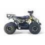 Электрический квадроцикл LEON 48V желтый Special