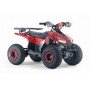 Электроквадроцикл LEON 48V красный спайдер