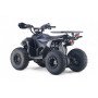 Бензиновый квадроцикл LEON 49CC карбон