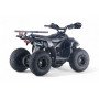 Бензиновый квадроцикл LEON 49CC карбон