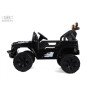 Детский электромобиль М101БХ черный (RiverToys)
