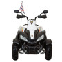 Детский спортивный электроквадроцикл Dongma ATV White 12V - DMD-268A-W