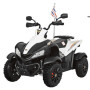 Детский спортивный электроквадроцикл Dongma ATV White 12V - DMD-268A-W
