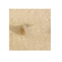 Части переднего привода S-track - S800-044