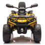 Детский квадроцикл двухместный BRP Can-Am Outlander (24V, полный привод, желтый) - DK-CA005-YELLOW