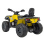 Детский квадроцикл двухместный BRP Can-Am Outlander (24V, полный привод, желтый) - DK-CA005-YELLOW