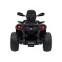 Детский квадроцикл двухместный BRP Can-Am Outlander (24V, полный привод, черный) - DK-CA005-BLACK
