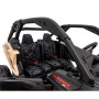 Детский электромобиль Багги Can-Am Maverick Turbo RR (24V, полный привод, версия RS) - DK-CA001-RS