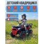 Детский электромобиль квадроцикл X-Robust (красный, 24V, 4WD, пульт, EVA) - XMX651-24V-4WD-RED
