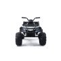 Детский полноприводный квадроцикл Grizzly Next White 4WD с пультом управления 2.4G - BDM0909