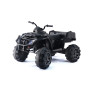 Детский квадроцикл Grizzly Next Black 4WD с пультом управления 2.4G - BDM0909