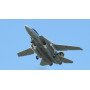 Радиоуправляемый самолет Art-tech F-14 EPO - 2.4G - 21291