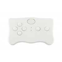 Пульт управления 2.4G для электромобиля - CH-009