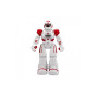 Радиоуправляемый робот Smartbot (управление пультом и жестами) Create Toys SR-822-RED