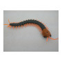 Радиоуправляемая многоножка SCOLOPENDRA
