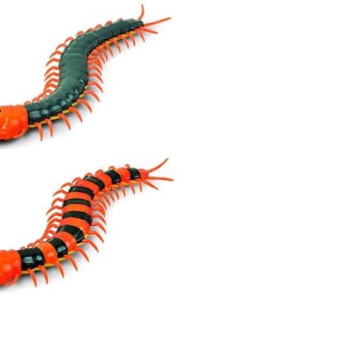 Радиоуправляемая многоножка SCOLOPENDRA