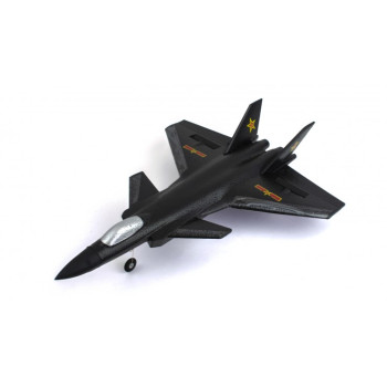Радиоуправляемый самолет J-20 (EPP) 2.4G FX830-BLACK