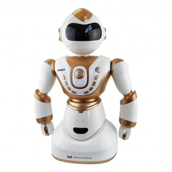 Радиоуправляемый робот MZ-2850