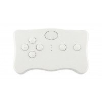 Пульт управления 2.4G для электромобиля - CH-009