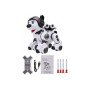 Радиоуправляемая интеллектуальная собака-робот Crazon (ИК-управление) Create Toys CR-1901-BLACK