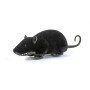 Радиоуправляемая крыса (27 см, светятся глаза) ZF-791-BLACK