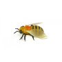 Радиоуправляемый робот Пчела Honeybee - 9923