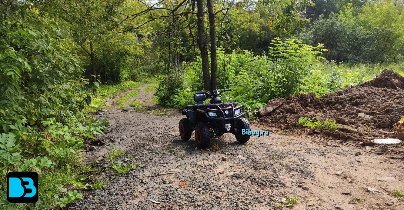 Детский электроквадроцикл T001TT