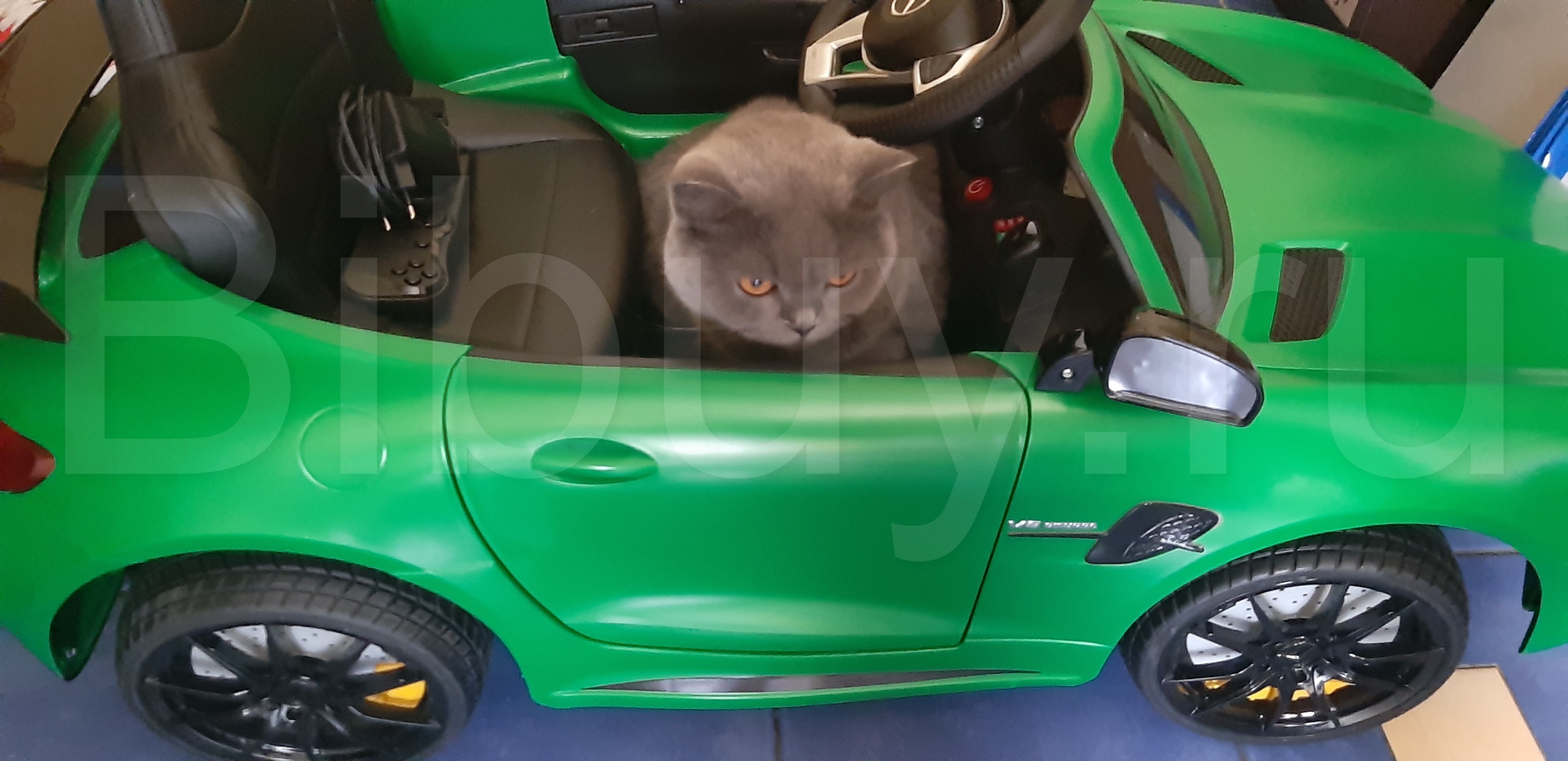 ЭЛЕКТРОМОБИЛЬ MERCEDES GTR
