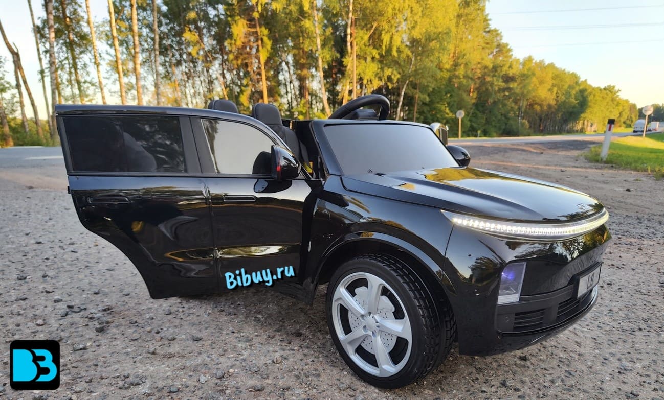 Детский Лисян L9